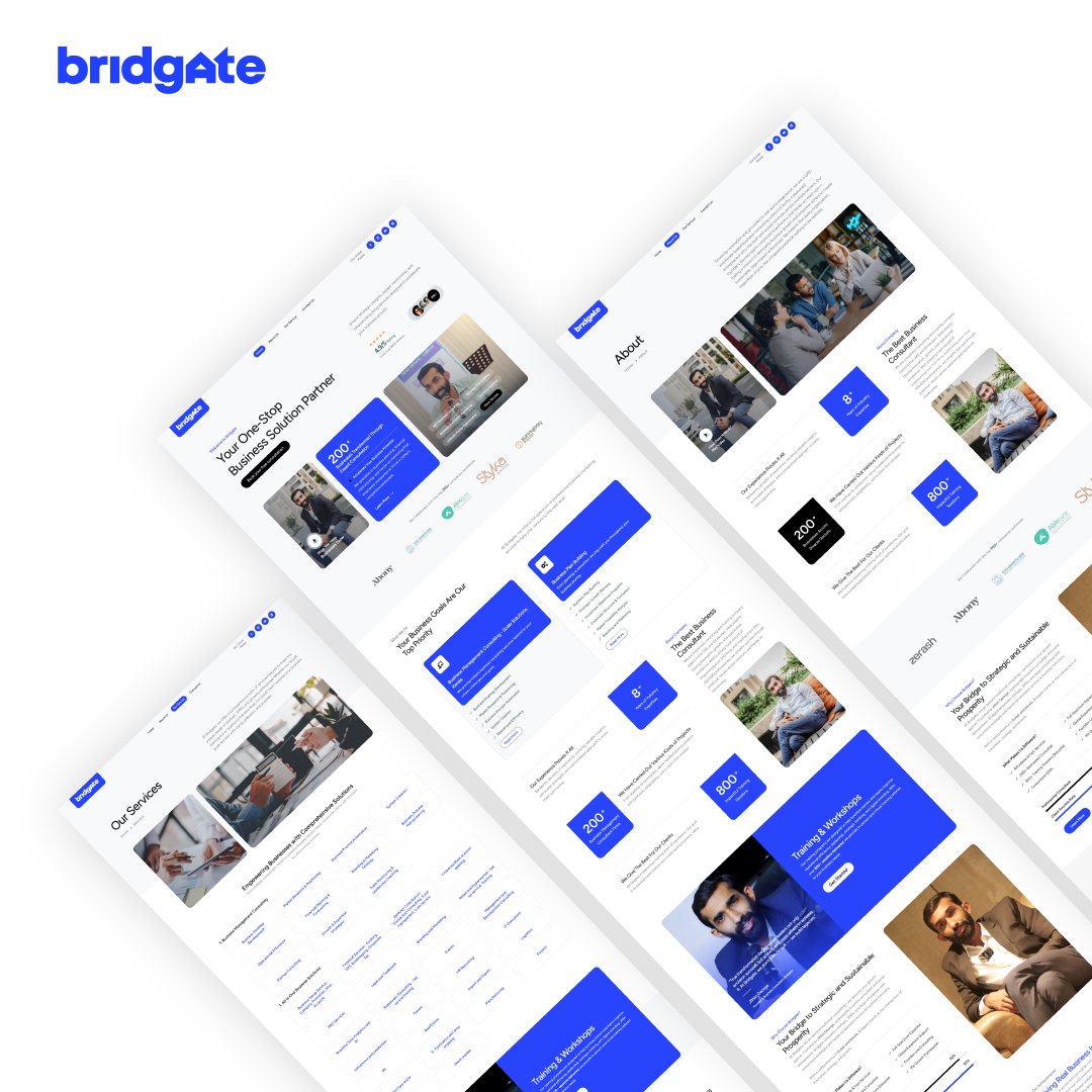 The Bridgate project